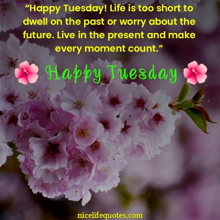 Happy Tuesday Quotes Good Morning Happy Tuesday Images And Quotes
